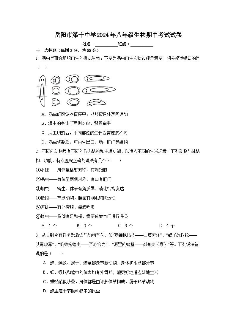 八年级生物期中考试第1页
