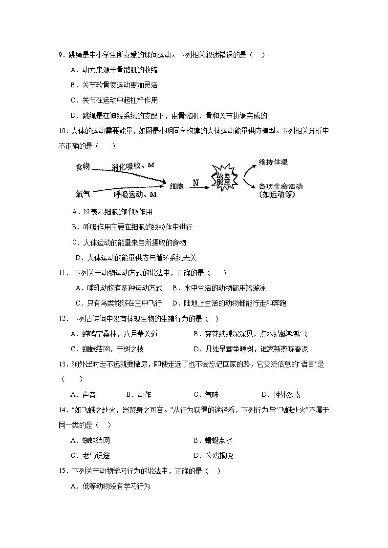 八年级生物期中考试第3页