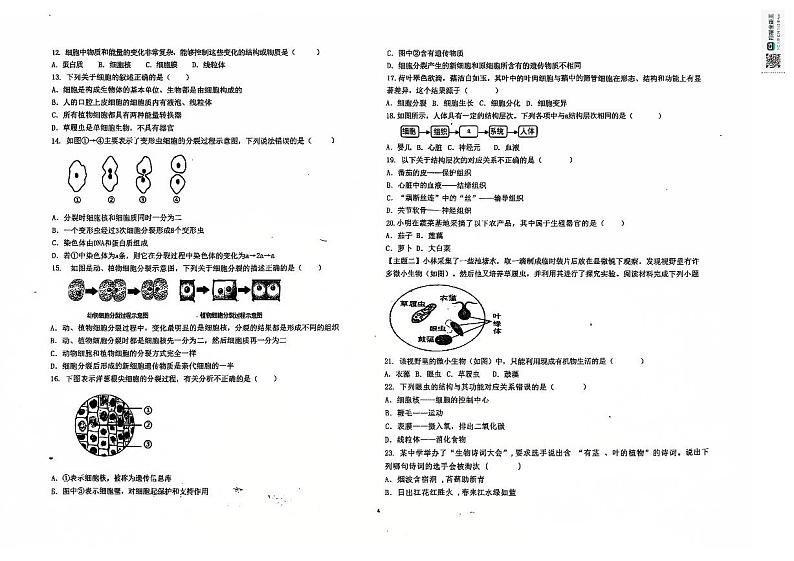 湖南省益阳市沅江市第四中学2024-2025学年七年级上学期期中考试生物试题第2页