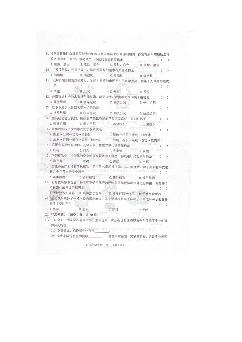 河南省驻马店市泌阳县2024-2025学年七年级上学期11月期中生物试题第2页