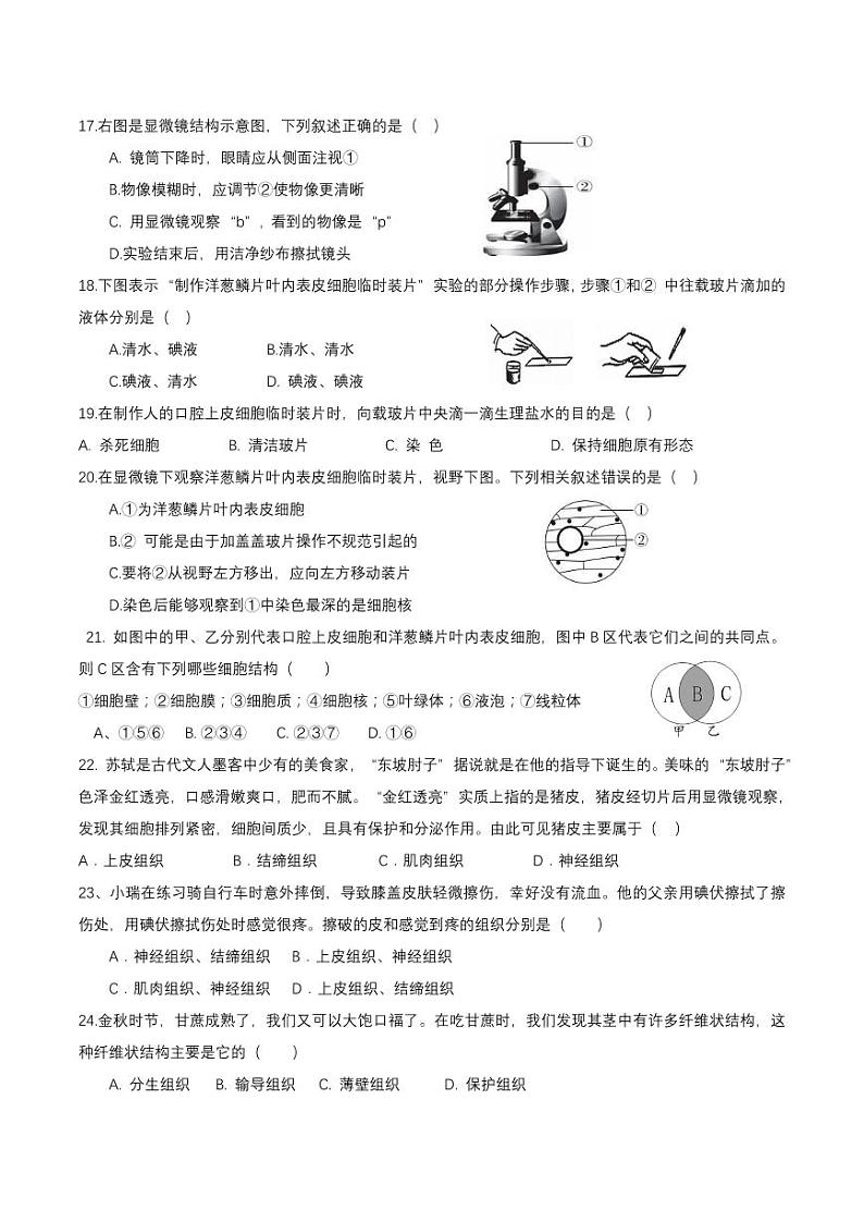 七年级生物期中考试试题_(1)第3页