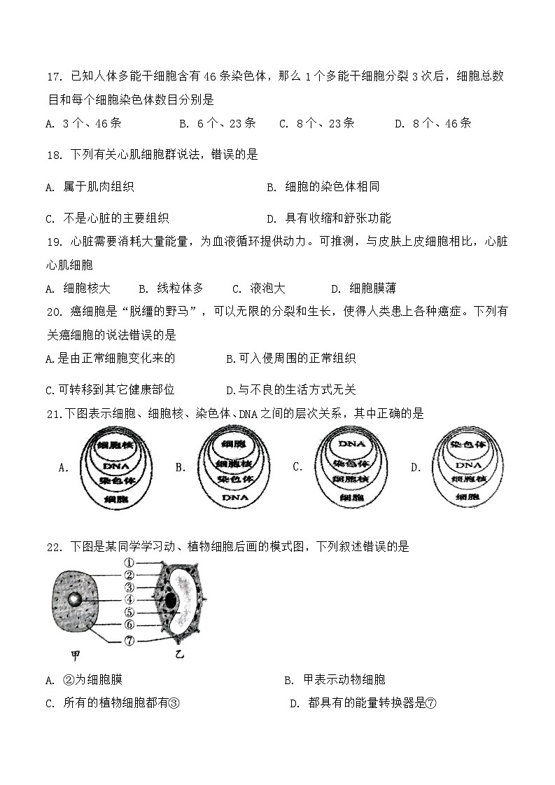 2024-2025中山市共进联盟七年级上期中考试生物试卷第3页