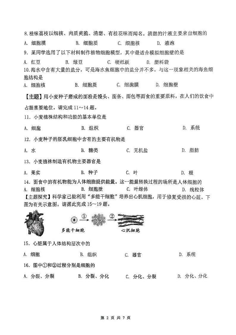 2024-2025中山市共进联盟七年级上期中考试生物试卷第2页