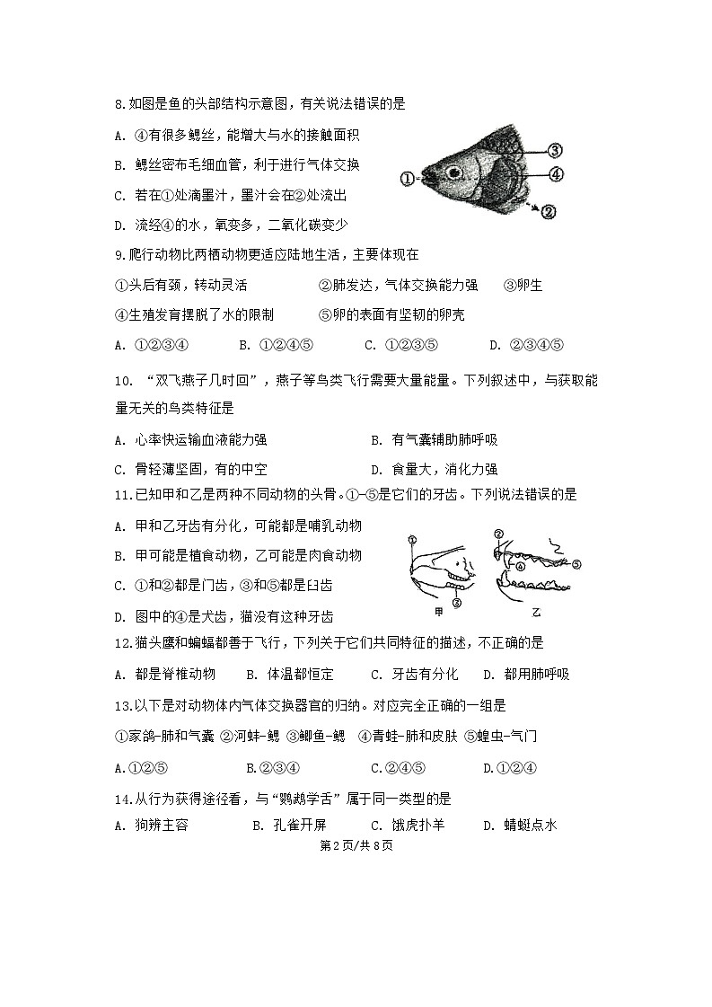 2024-2025中山市共进联盟八年级上期中考试生物试卷第2页