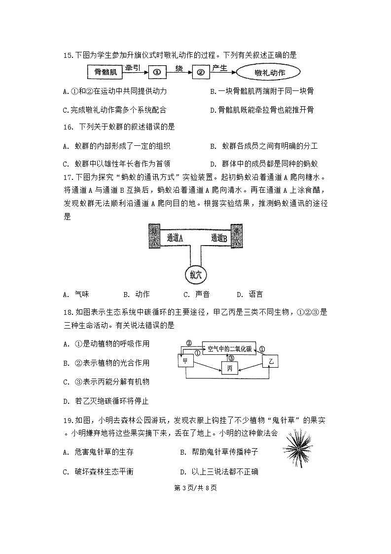 2024-2025中山市共进联盟八年级上期中考试生物试卷第3页
