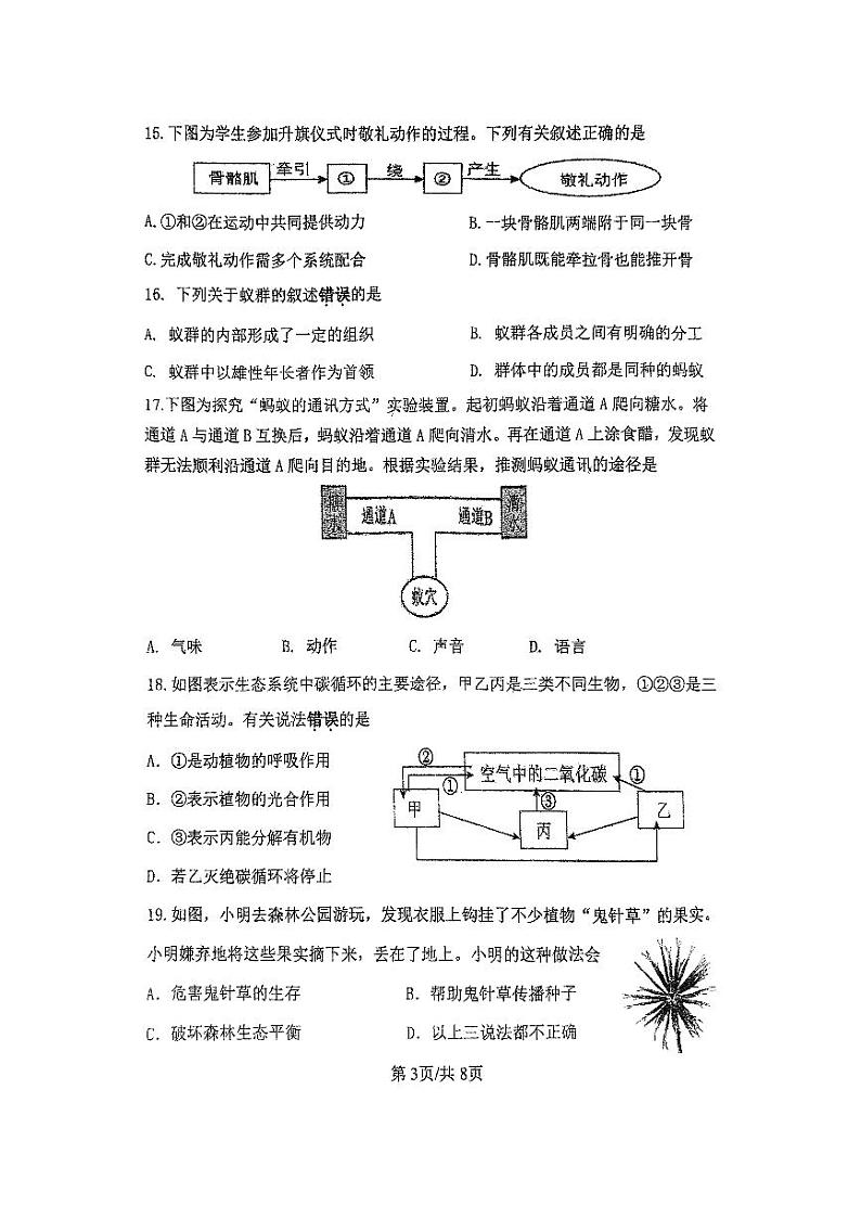 2024-2025中山市共进联盟八年级上期中考试生物试卷第3页
