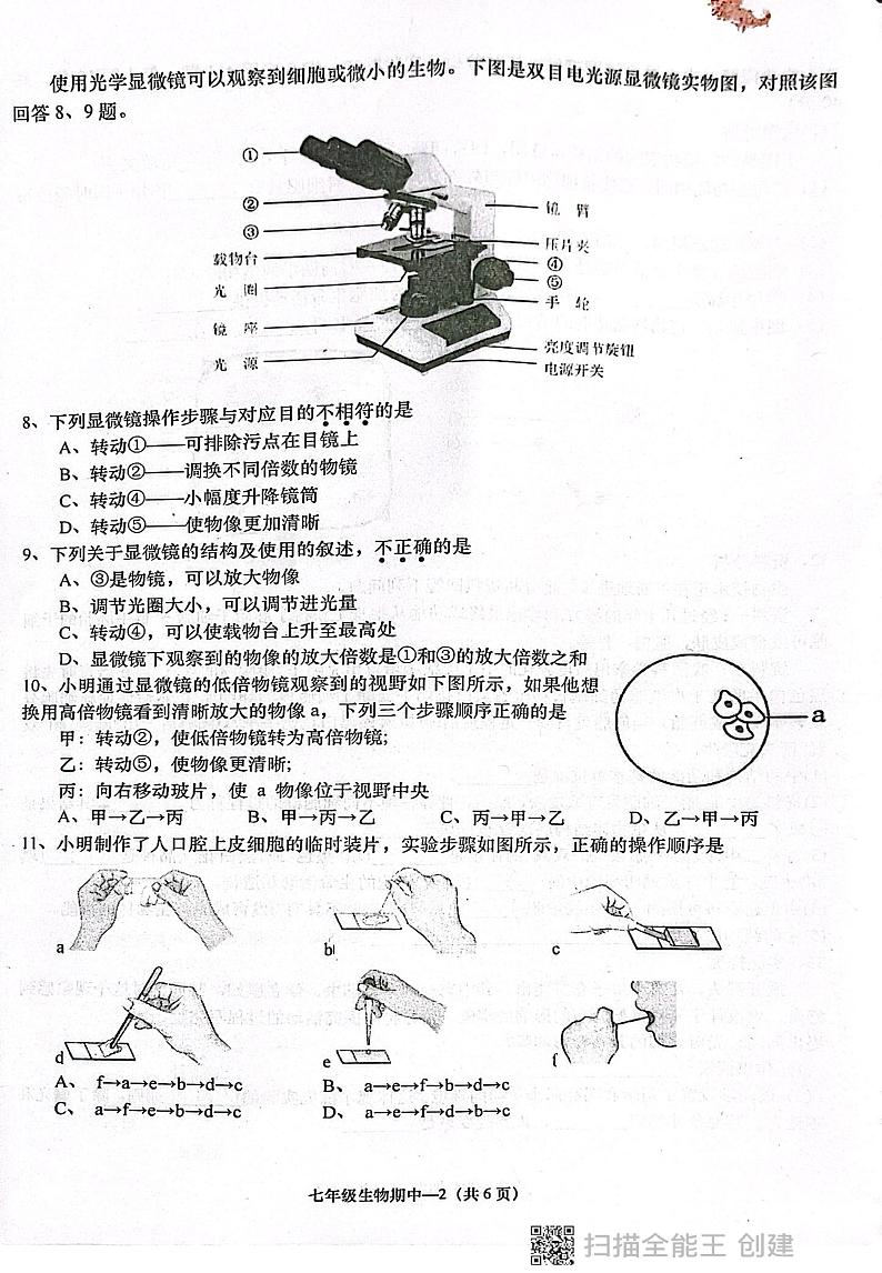 广东省揭阳市惠来县2024-2025学年七年级上学期11月期中生物试题第2页