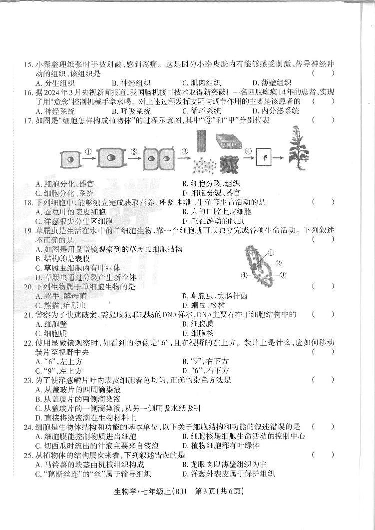 湖南省邵阳市隆回县2024—2025学年七年级上学期期中生物考试试卷03
