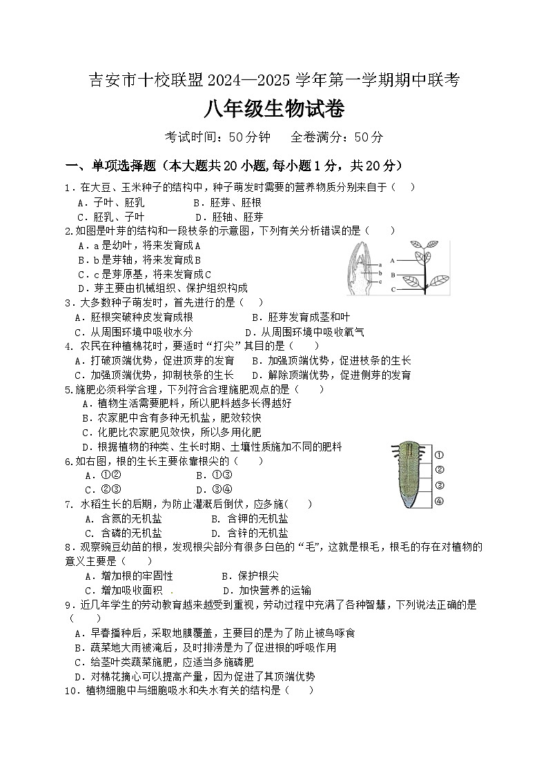 八年级生物试卷第1页