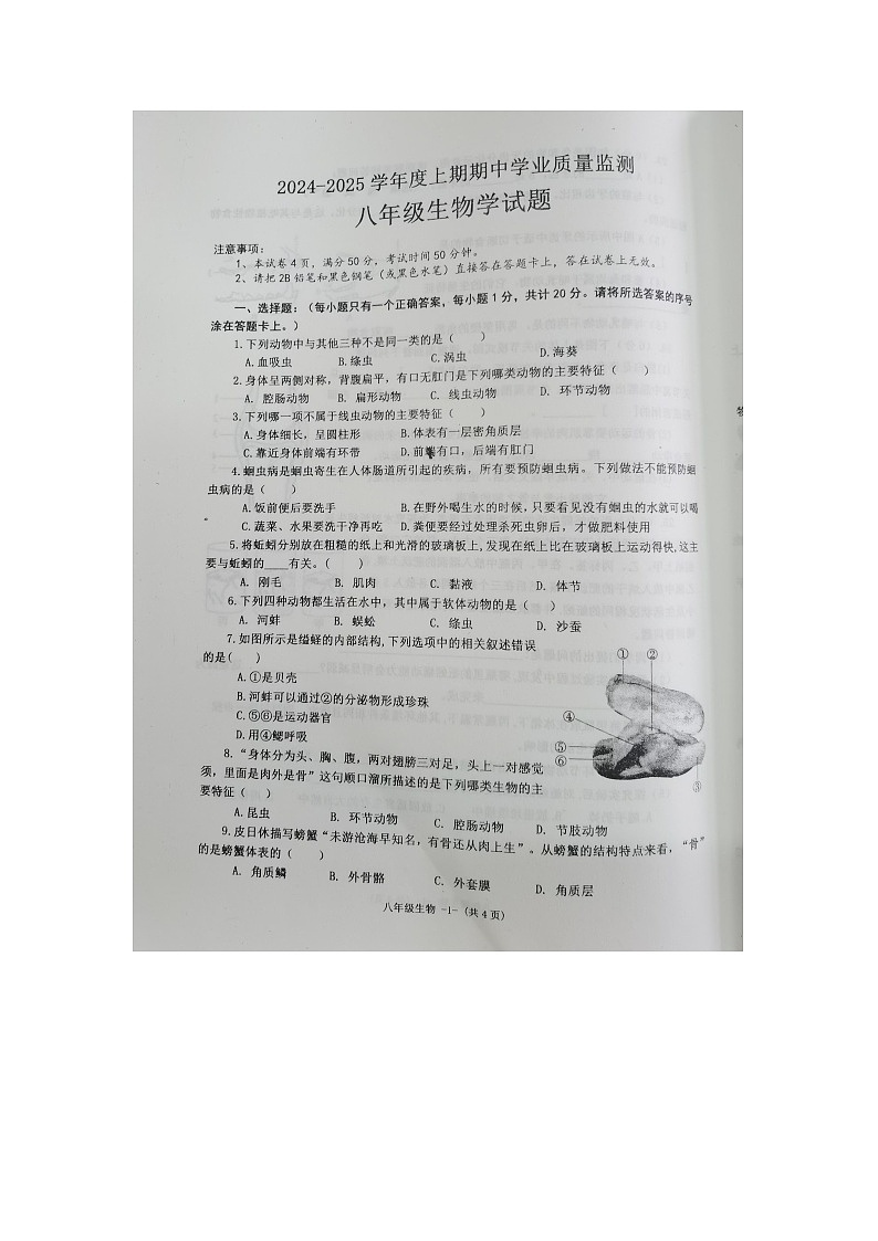 河南省信阳市息县2024-2025学年八年级上学期期中生物试题01