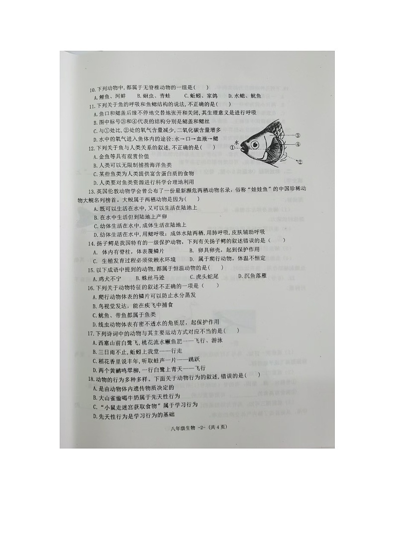 河南省信阳市息县2024-2025学年八年级上学期期中生物试题02