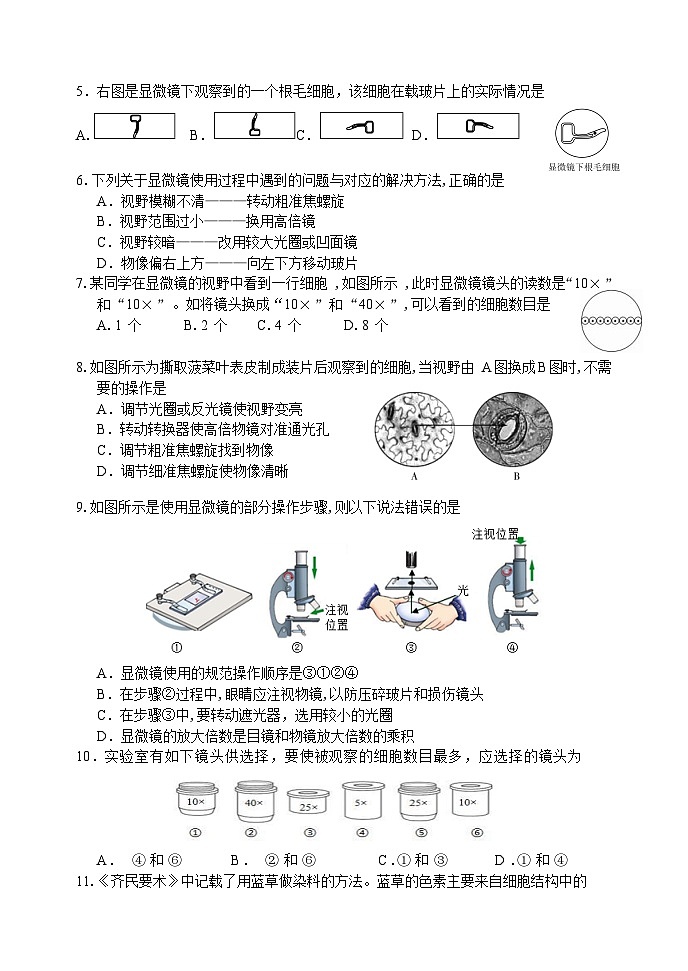 山东省济南市章丘市2024-2025学年七年级上学期期中考试生物试题02