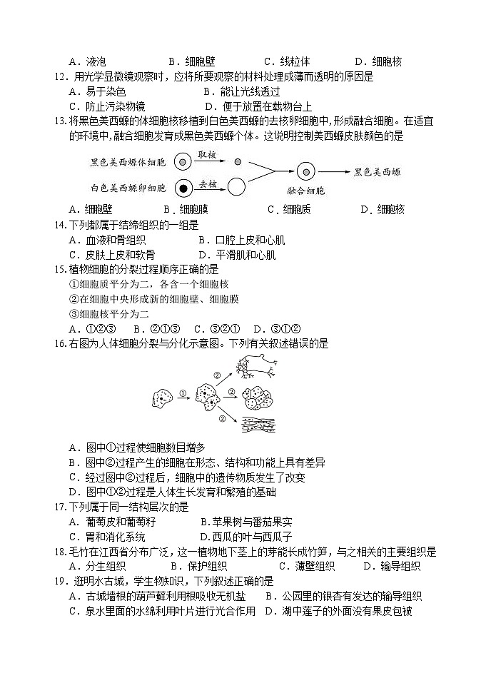 山东省济南市章丘市2024-2025学年七年级上学期期中考试生物试题03