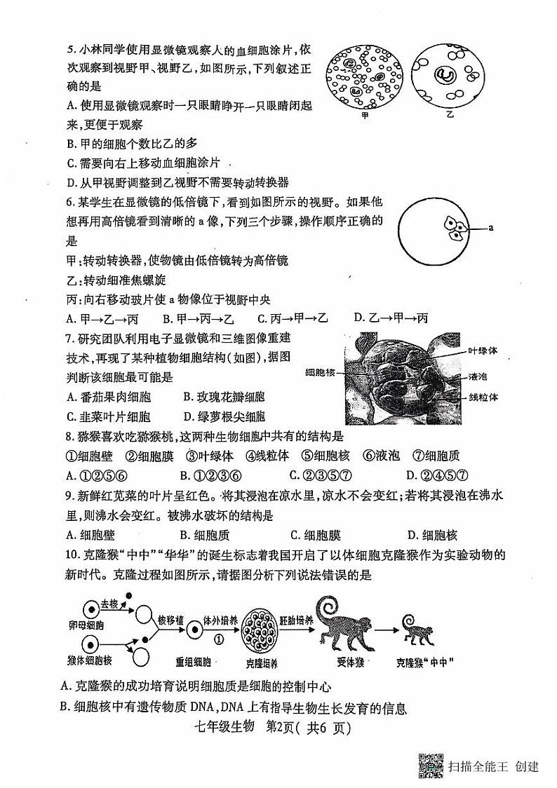 河南省南阳市邓州市2024-2025学年七年级上学期11月期中生物试题第2页