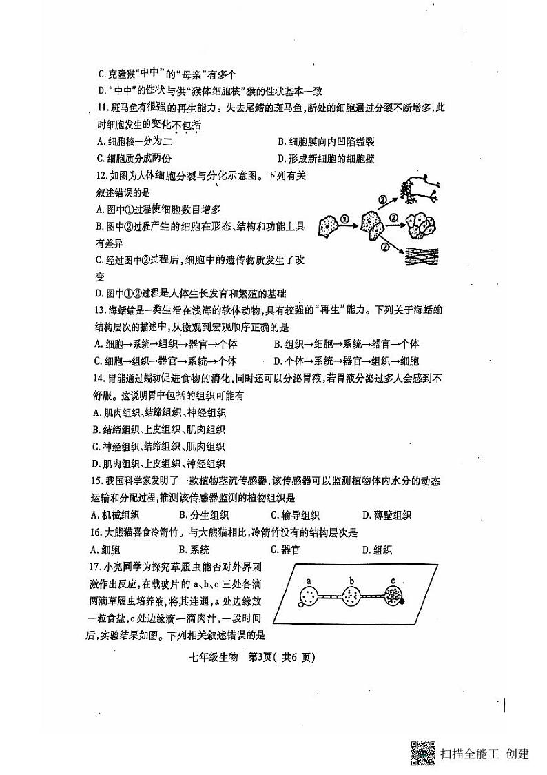 河南省南阳市邓州市2024-2025学年七年级上学期11月期中生物试题第3页