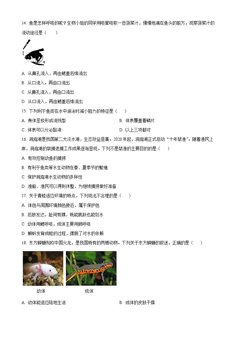 北京市第十四中学2024-2025学年八年级上学期期中生物学试题（原卷版）第3页