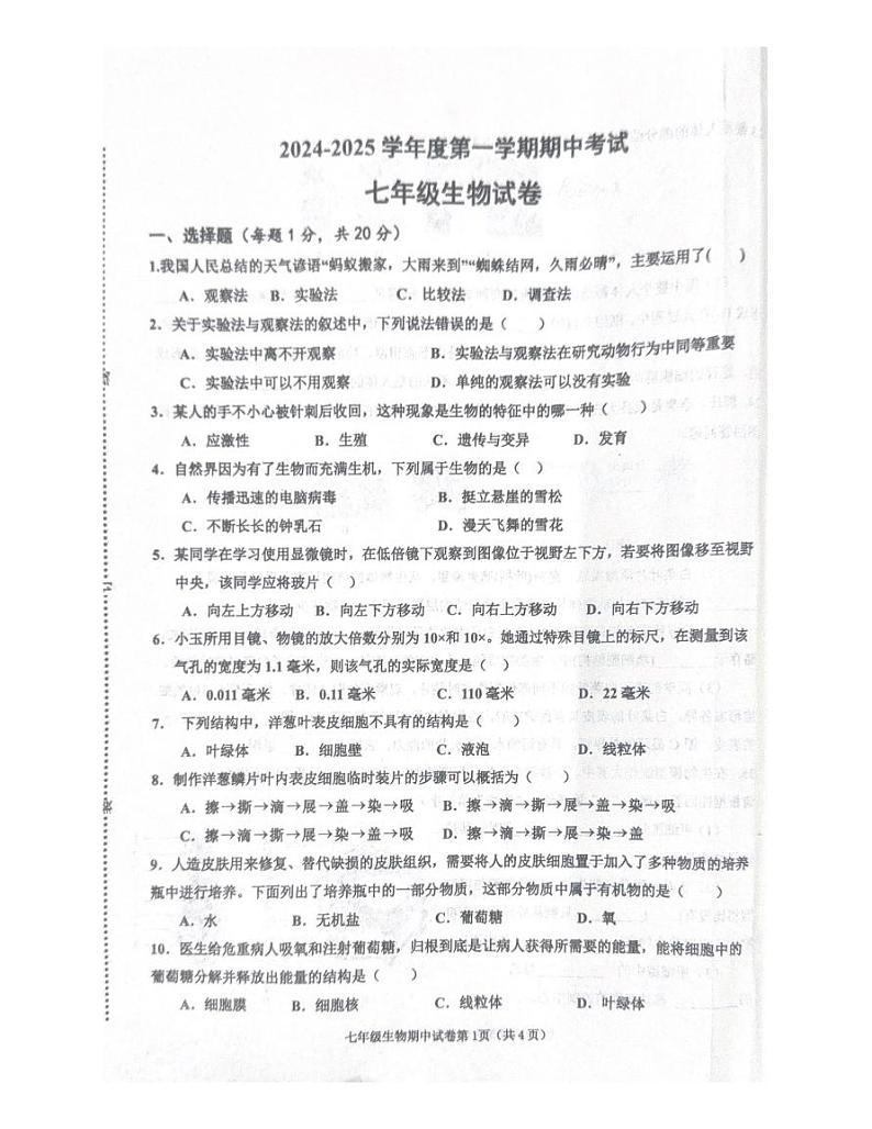 七年级上册生物期中试卷第1页