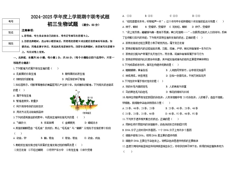 2024联考初三生物试题.doc第1页