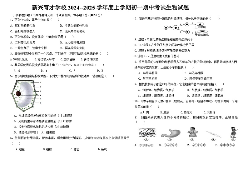 初一生物期中考试题第1页