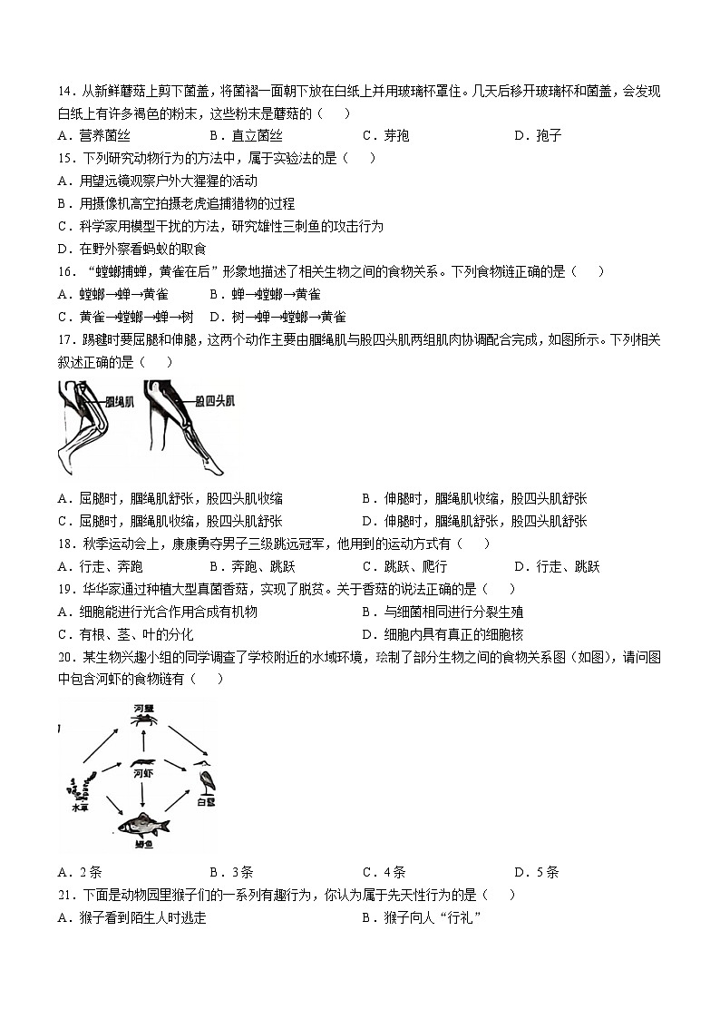海南省省直辖县级行政单位临高县2024-2025学年八年级上学期期中生物学试题(无答案)第2页
