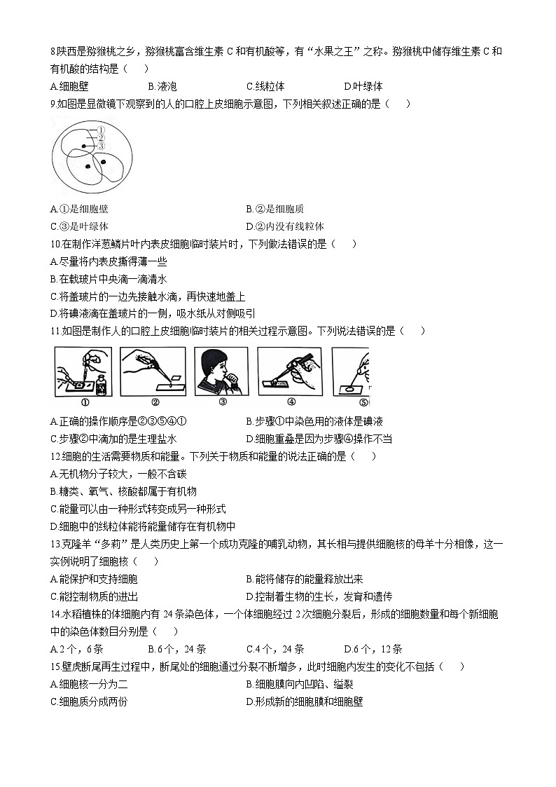 陕西省延安市富县2024-2025学年七年级上学期期中生物学试题第2页