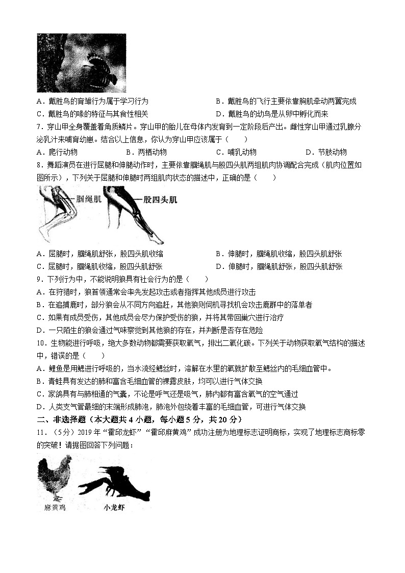 安徽省六安市霍邱县2024-2025学年八年级上学期期中生物试题第2页