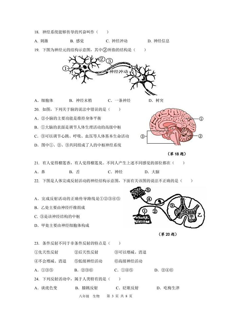 2024.11八年级期中测试试题（生物）第3页