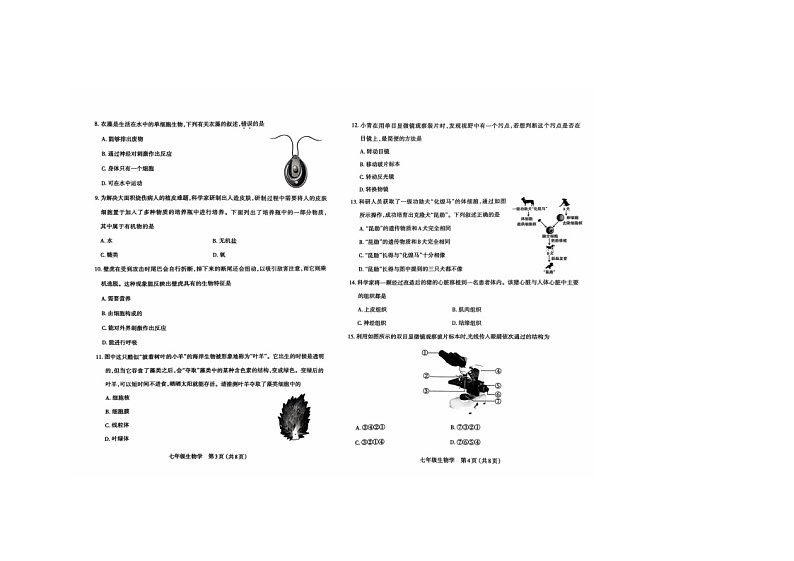 七上期中生物第2页
