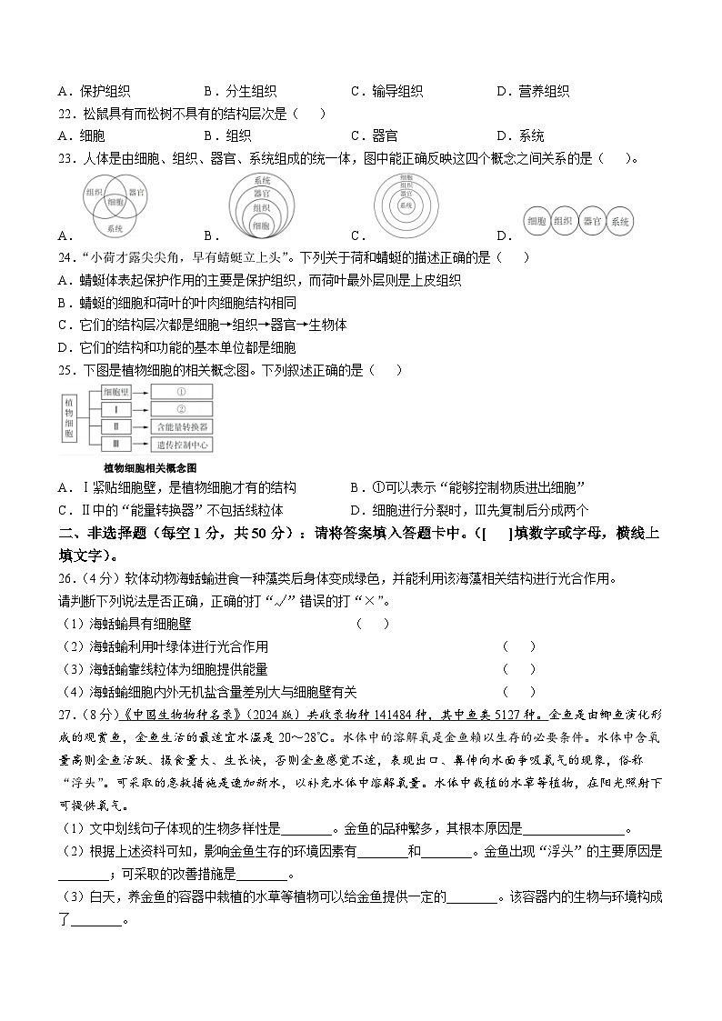 福建省南平市建瓯市2024--2025学年七年级上学期期中生物试题第3页