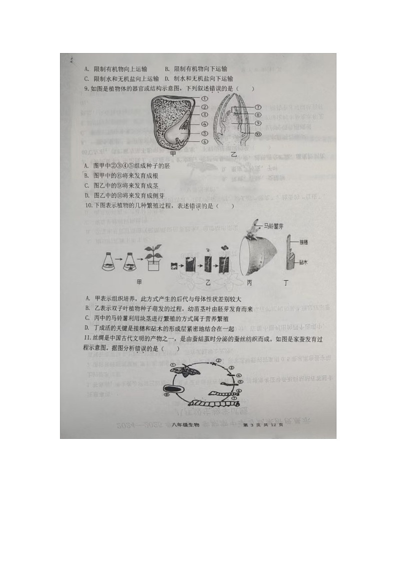 山东省德州市武城县2024-2025学年八年级上学期期中生物试题第3页