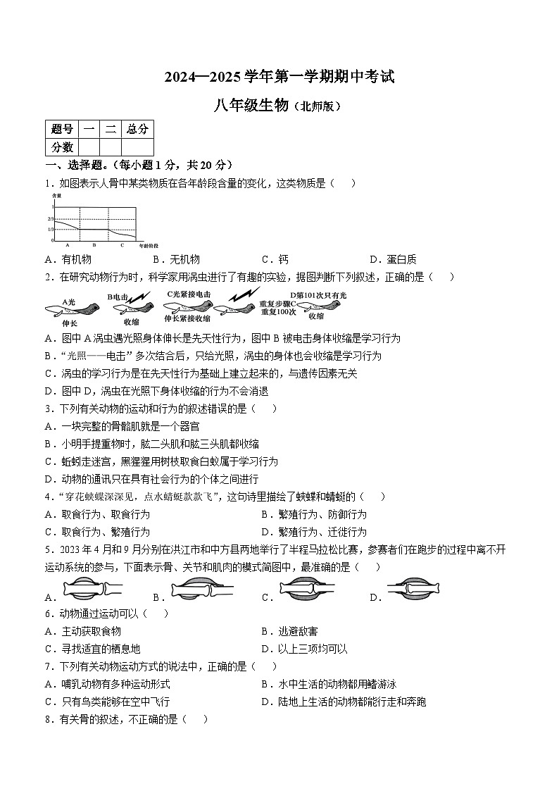 河南省通许县2024-2025学年八年级上学期期中生物试题第1页