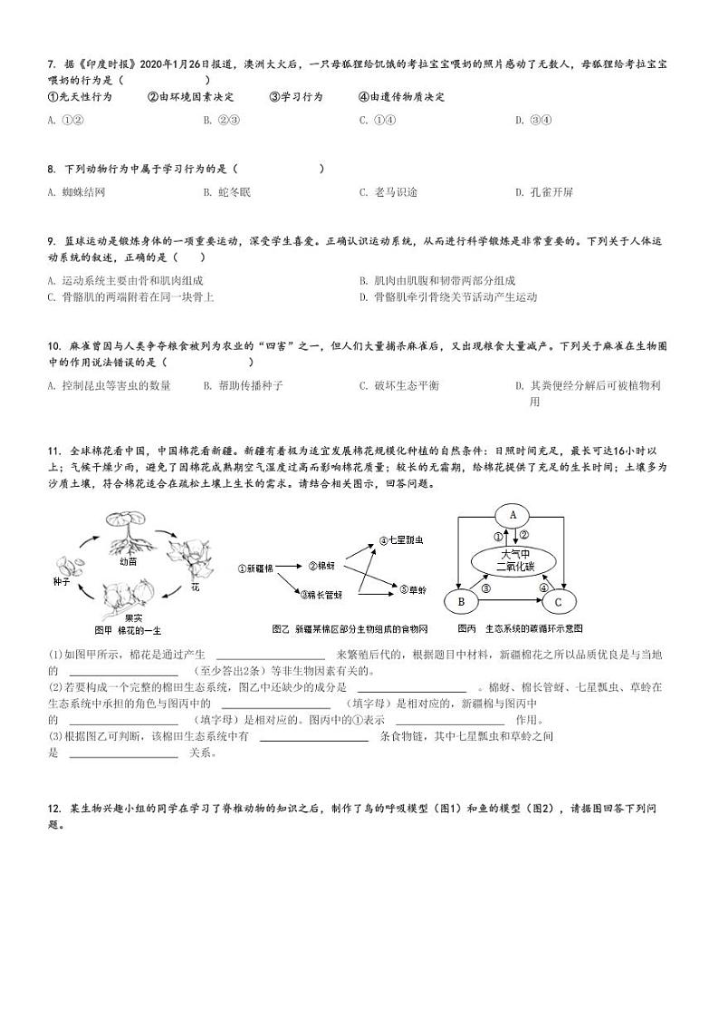 2024～2025学年湖北宜昌宜都市初二(上)期中生物试卷[原题+解析]02