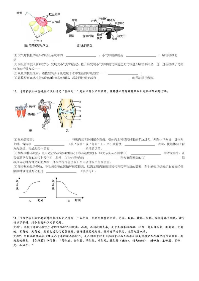 2024～2025学年湖北宜昌宜都市初二(上)期中生物试卷[原题+解析]03