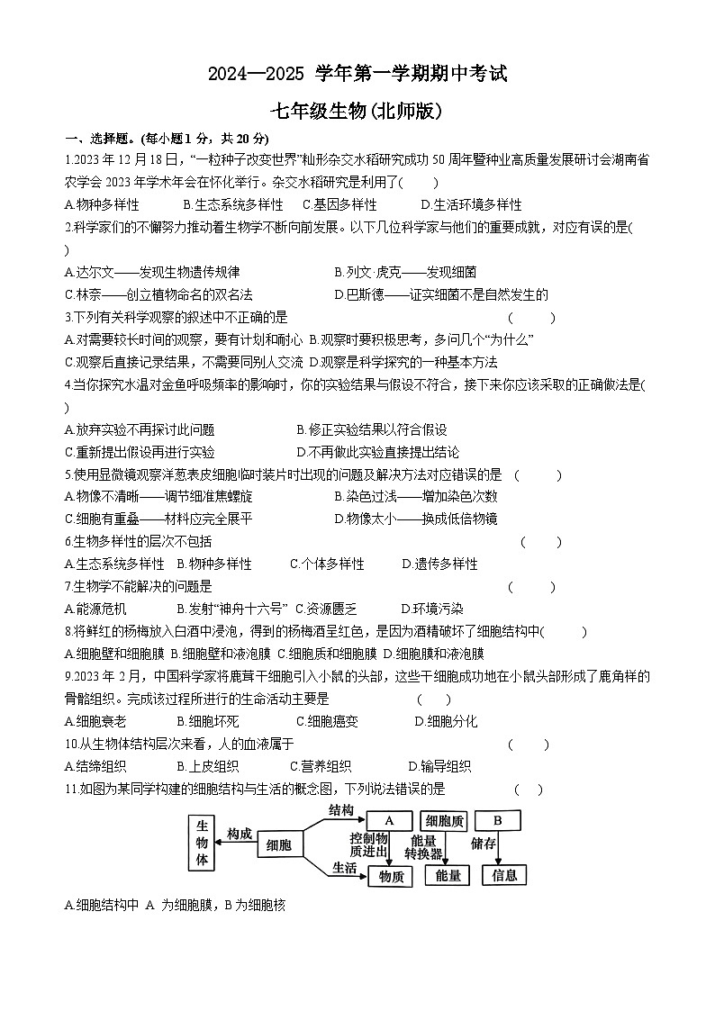 河南省通许县2024-2025学年七年级上学期期中考生物试题第1页