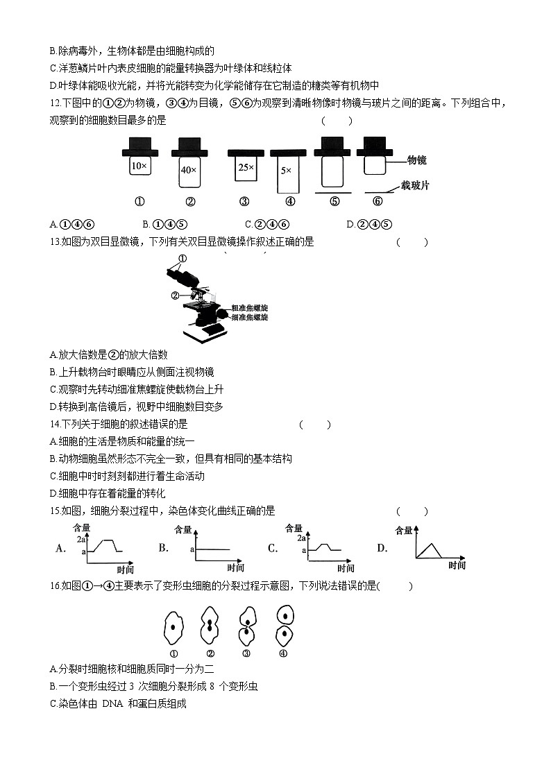 河南省通许县2024-2025学年七年级上学期期中考生物试题第2页