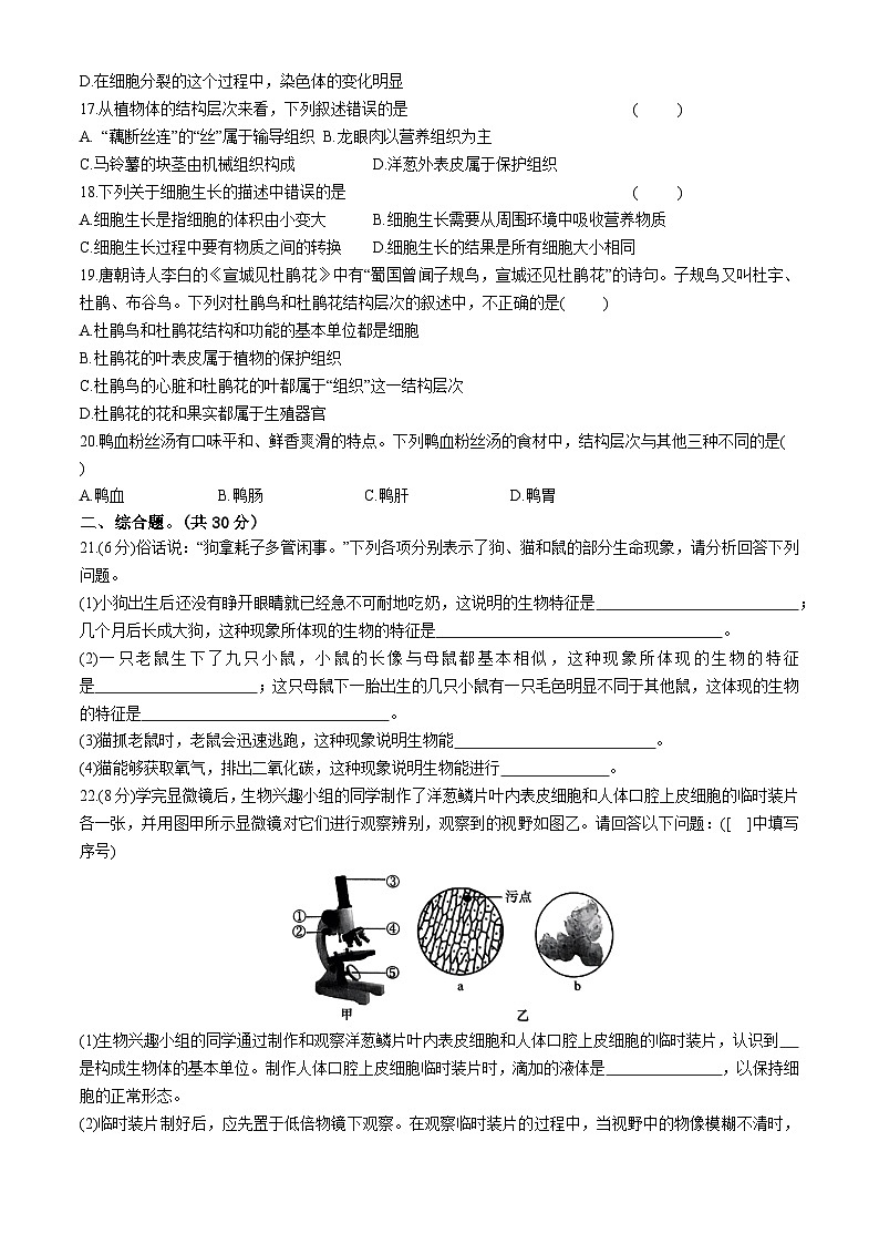 河南省通许县2024-2025学年七年级上学期期中考生物试题第3页
