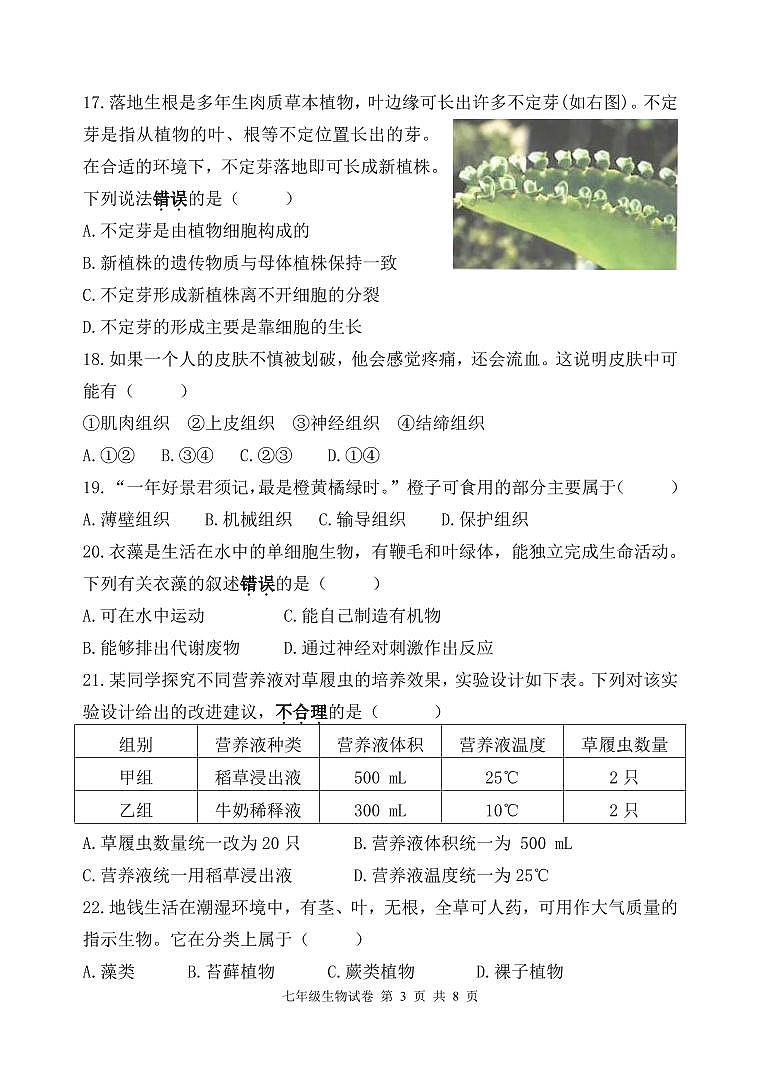福建省福州市台江区2024-2025学年七年级上学期期中考试生物试题第3页