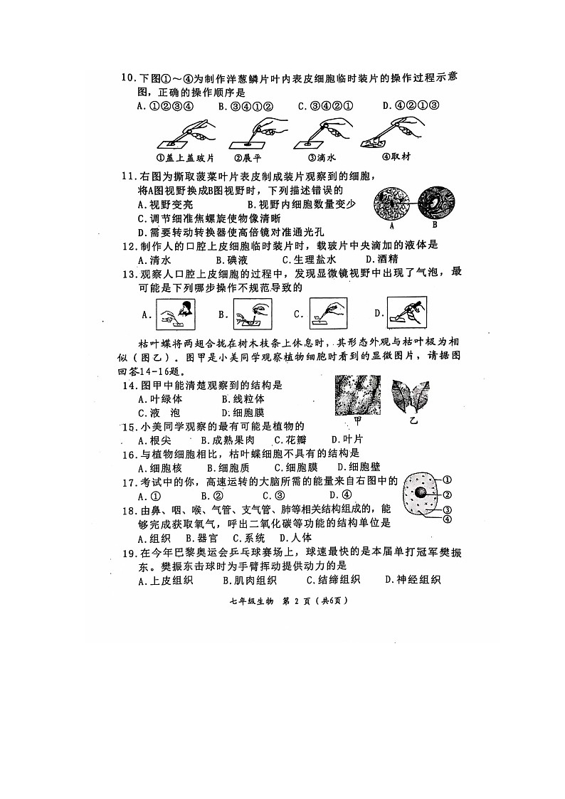 福建省漳州市华安县2024-2025学年七年级上学期期中生物试题第2页