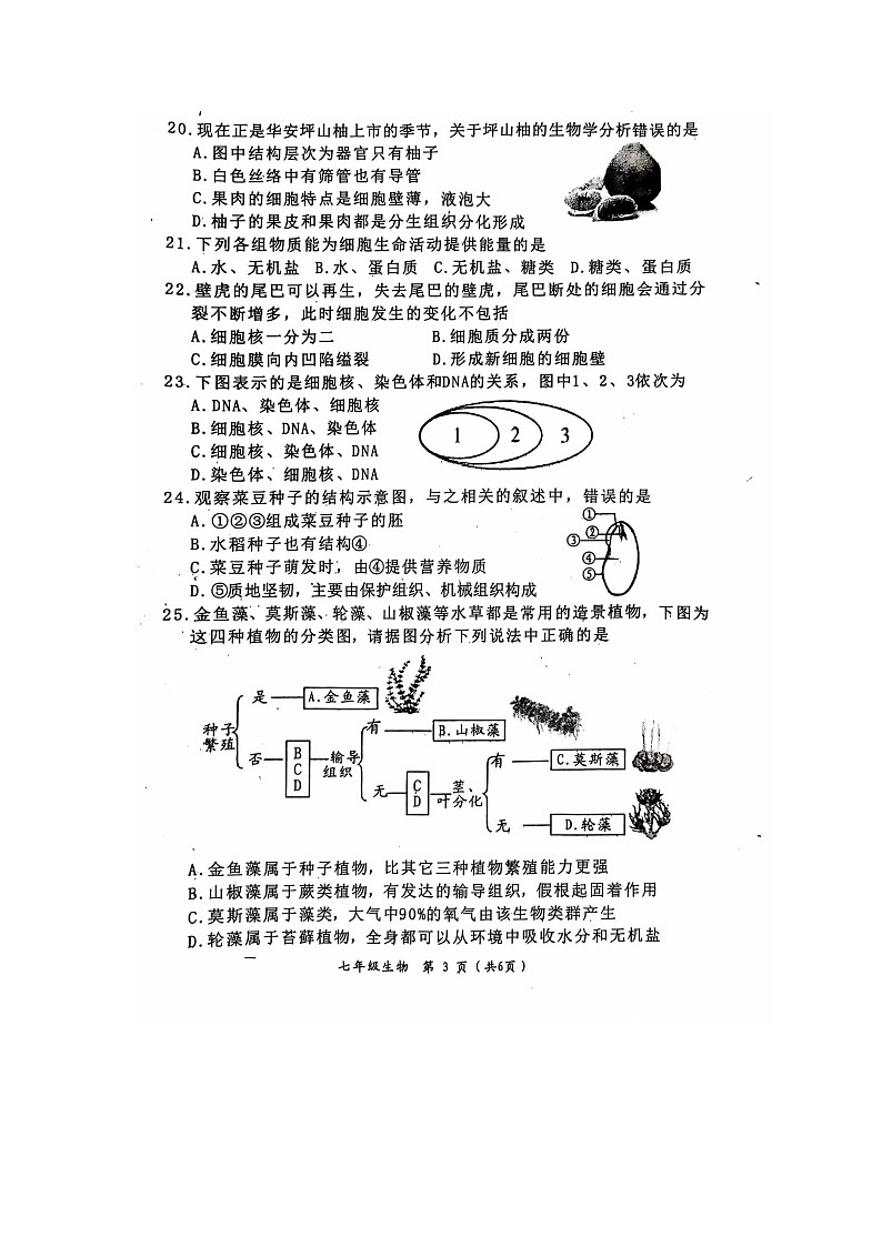 福建省漳州市华安县2024-2025学年七年级上学期期中生物试题第3页