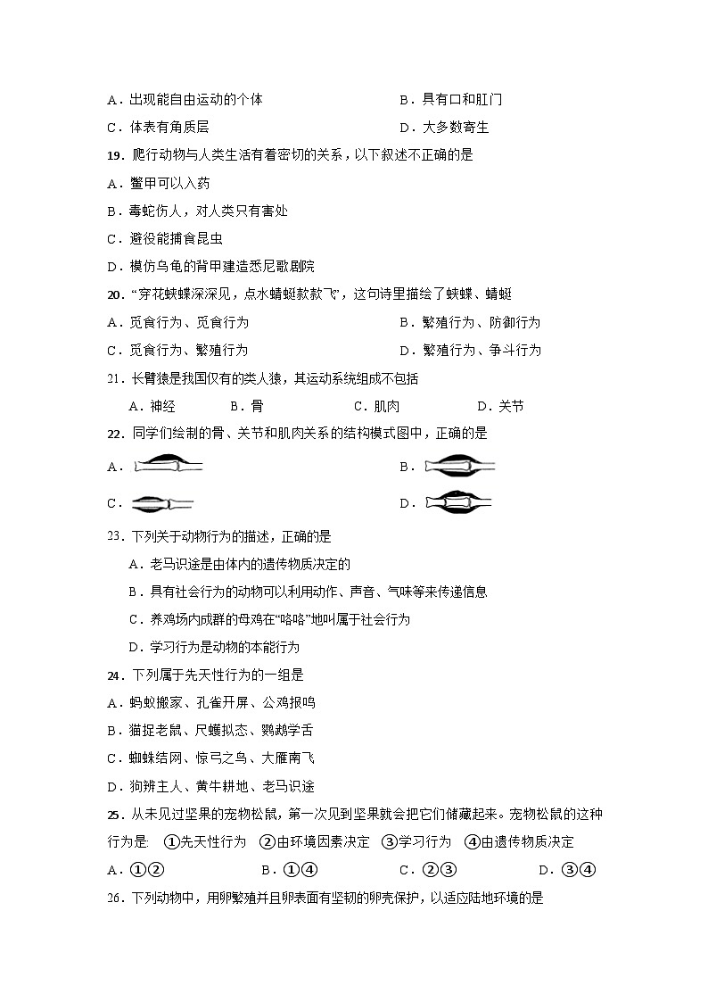 八年级生物上册期中测试题第3页
