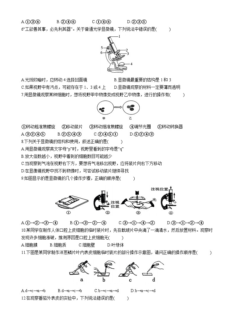 山东省济南市高新区2024-2025学年七年级上学期期中生物试题02