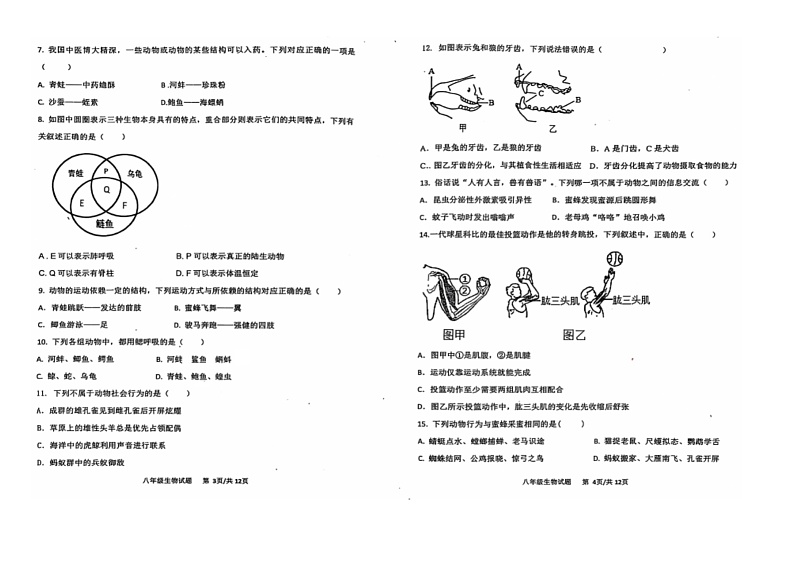 山东省东营市利津县2024-2025学年八年级上学期期中考试生物试题第2页