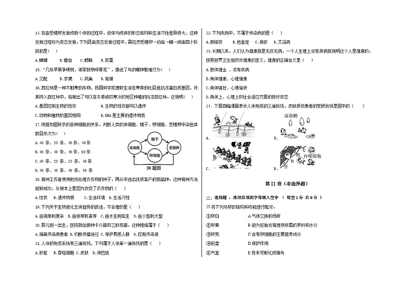黑龙江省庆新中学2024-2025学年九年级上学期期中生物试卷第2页