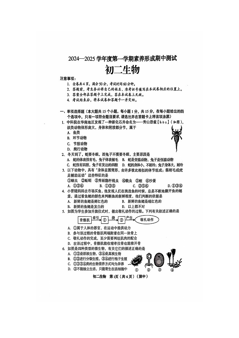 山西省临汾市襄汾县第二初级中学2024-2025学年八年级上学期期中生物测试题第1页