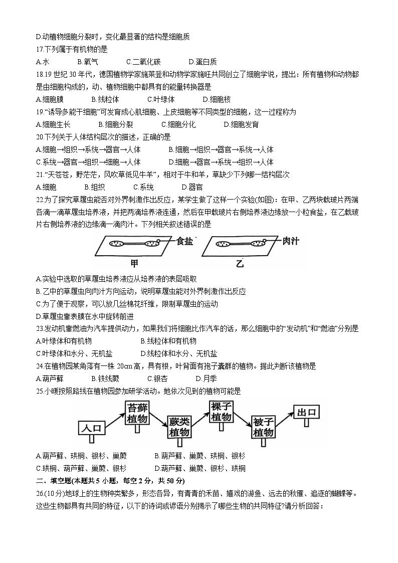 江西省景德镇2024-2025学年七年级上学期期中生物试题03