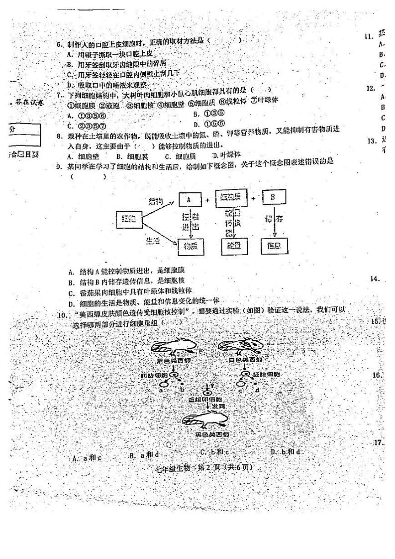 河南省南阳市淅川县2024-2025学年七年级上学期期中考试生物试卷第2页