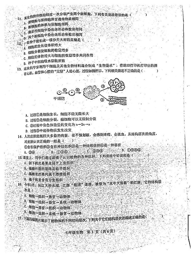 河南省南阳市淅川县2024-2025学年七年级上学期期中考试生物试卷第3页