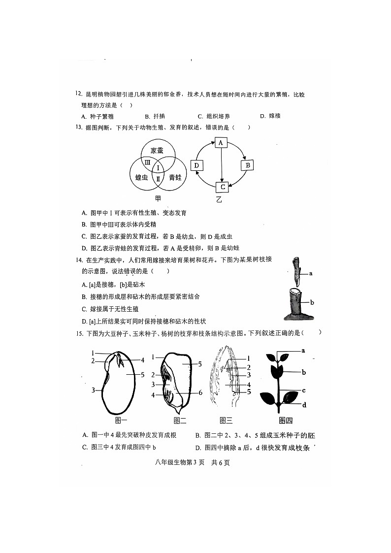 山东省菏泽市郓城县2024-2025学年八年级上学期期中学业水平测试生物试卷第3页