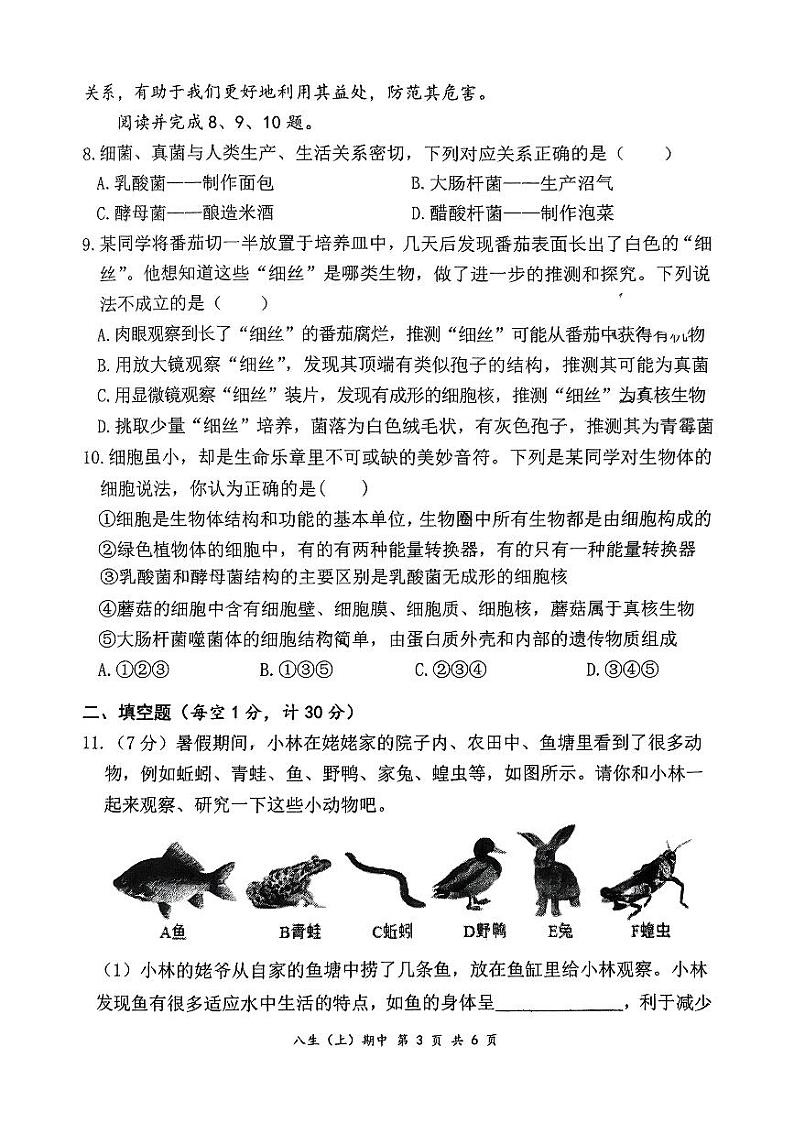 湖北省孝感市汉川市2024-2025学年八年级上学期期中考试生物试题第3页