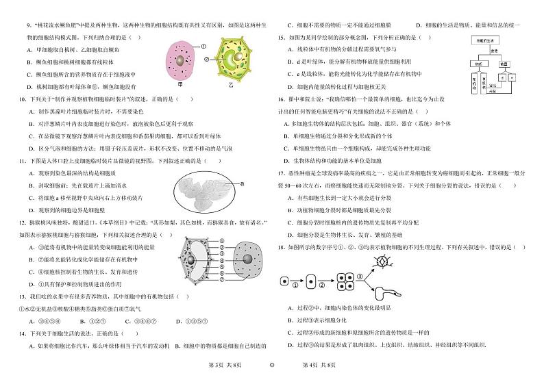 四川省眉山市天府新区2024-2025学年七年级上学期期中考试生物试题02